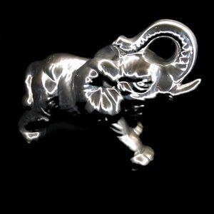🔥$5 Silver Goodluck Elephant